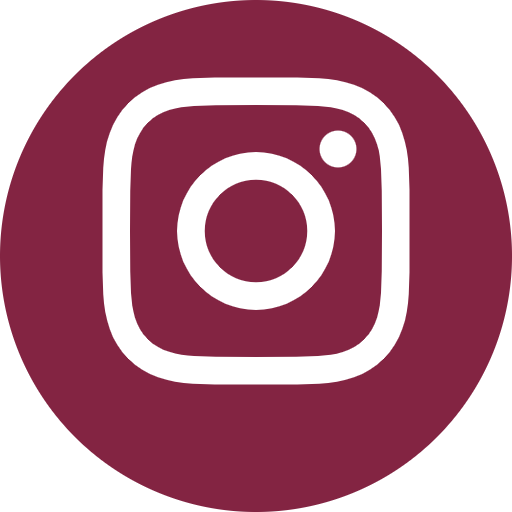 icono instagram